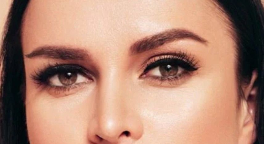 Powder Brows 101